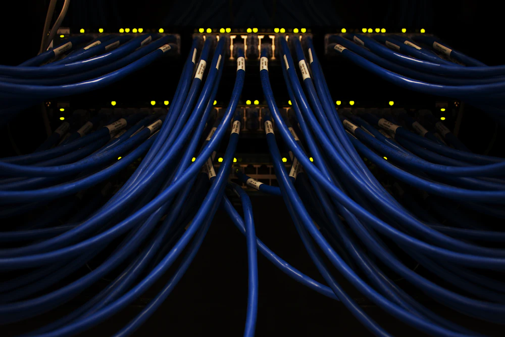 Blaue Netzwerkkabel laufen fächerförmig aus einem Switch, Port-LEDs leuchten im Dunkeln